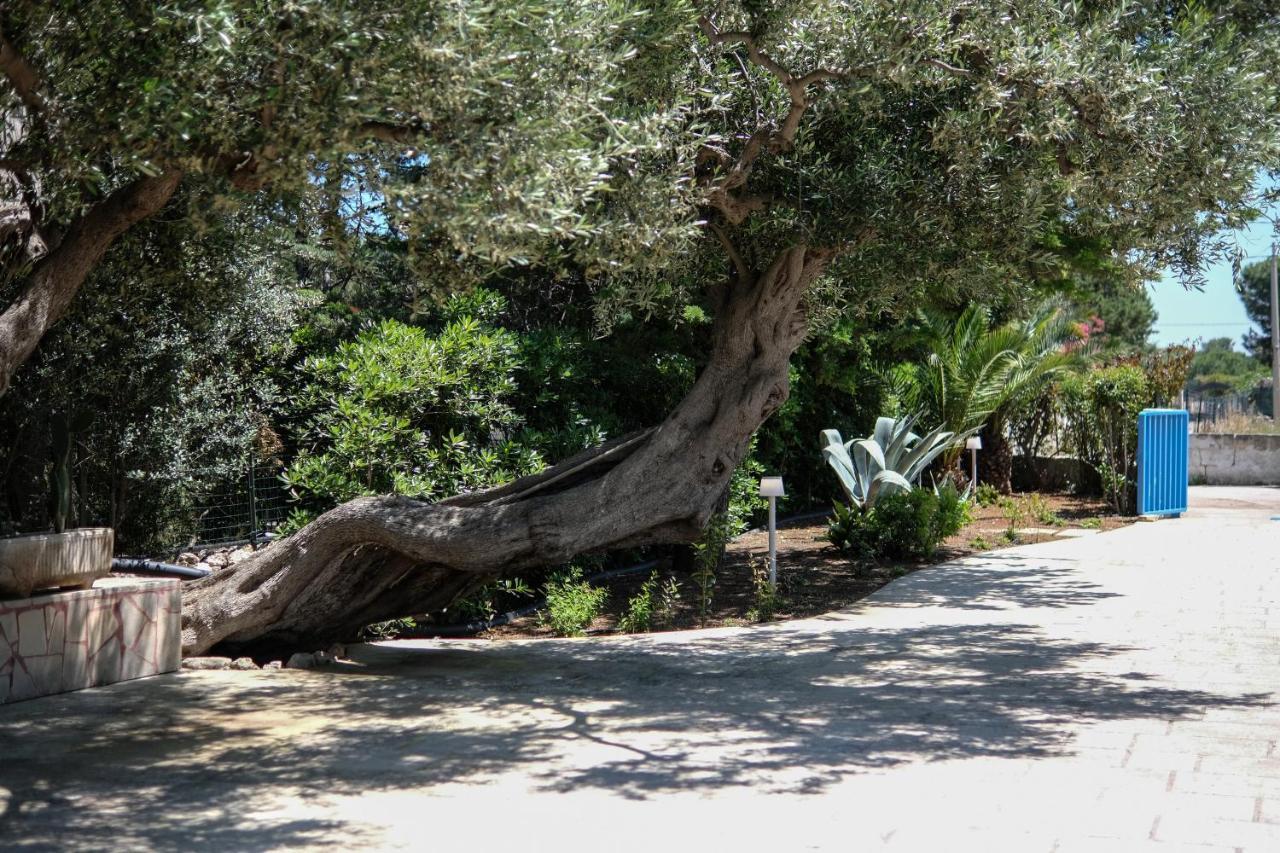 Pugliamandia Villa Monopoli Exteriör bild