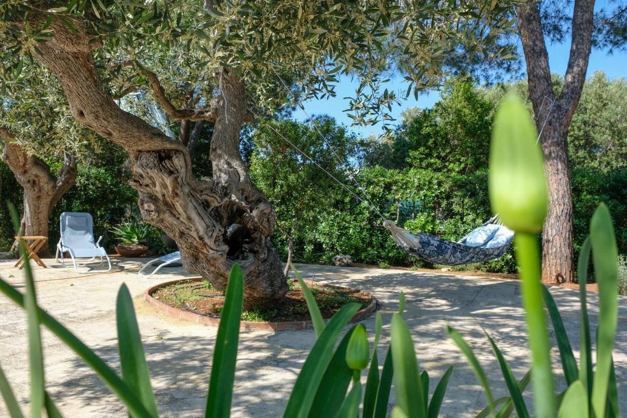 Pugliamandia Villa Monopoli Exteriör bild