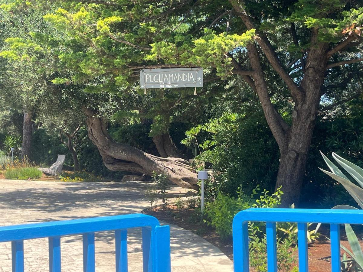 Pugliamandia Villa Monopoli Exteriör bild