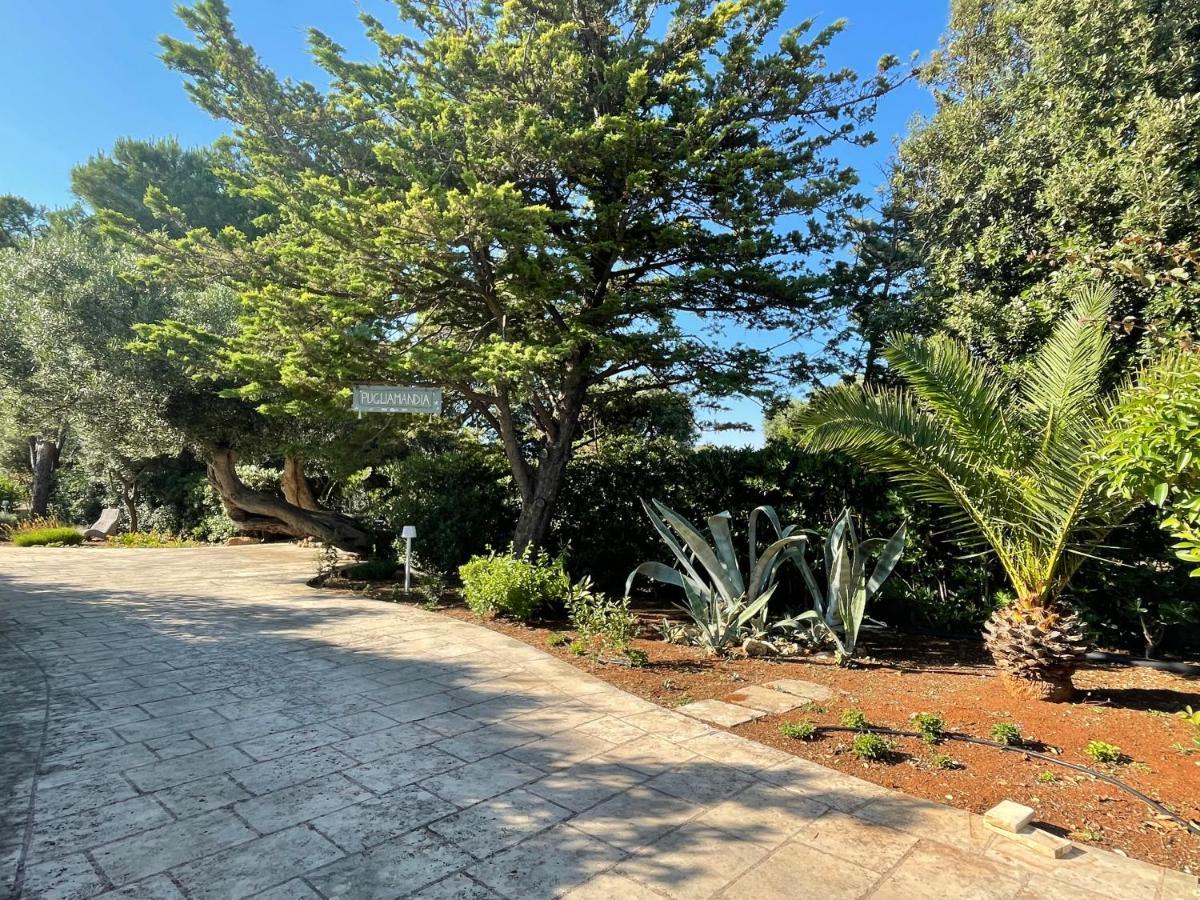 Pugliamandia Villa Monopoli Exteriör bild